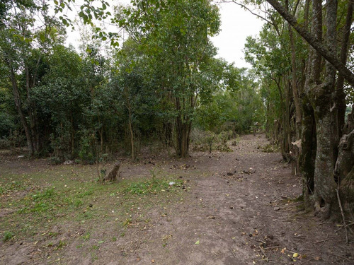 Imagen 5 de 13 de Lote | Mendoza