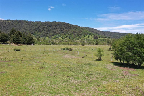 Terreno 5.000 M2 A Pocos Metros Pueblo Malalcahuello