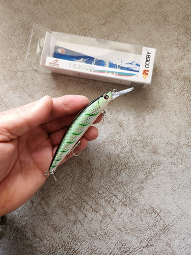 Señuelo Noeby Long Casting Minnow 3d Eyes, 36g/11cm,prof 2.5