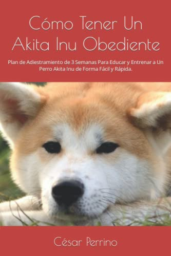 Como Tener Un Akita Inu Obediente: Plan De Adiestramiento De