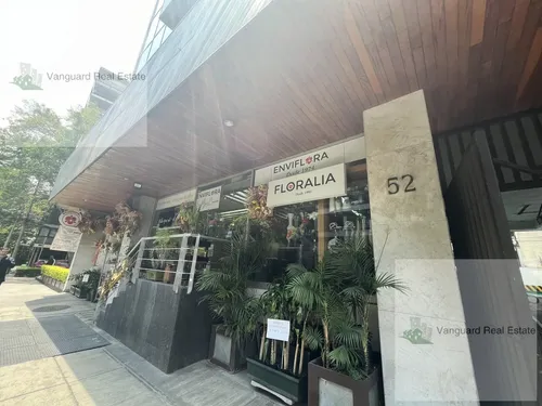 Local Comercial En Venta En Polanco Ii Sección, A Pie De Calle - foto 1