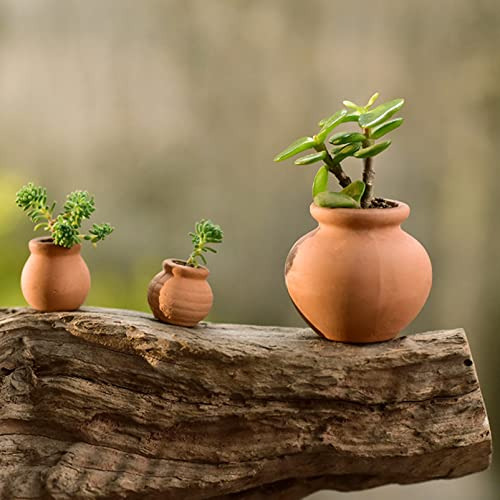 Conjunto De 6 Macetas De Cerámica Para Cactus Y Flores