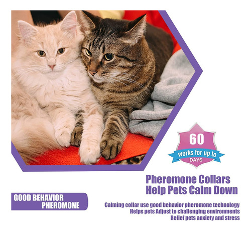 Collar Calmante (cat) Con Feromonas Para Mascotas, Perros Y