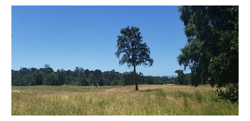 Imagen 15 de 16 de Agrícola En Venta En Lago Ranco