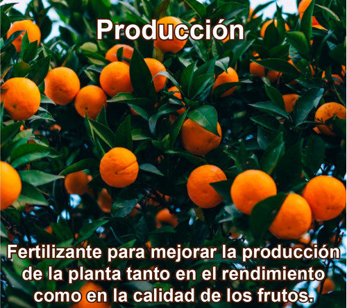 Fertilizante Para La Producción De Frutos Por 100 Gr (25 L)