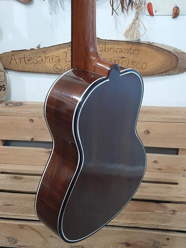 Imagen 3 de 6 de Ukelele De Concierto Profesional Con Su Forro Protector