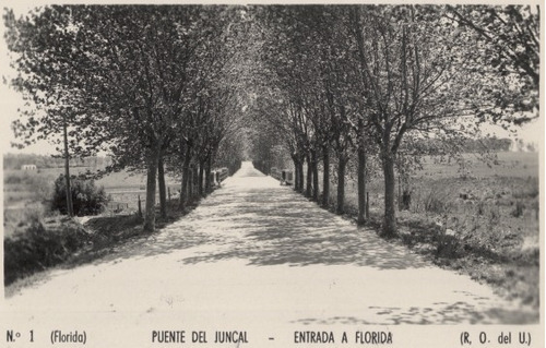 Florida Puente Del Juncal En El Año 1950 - Lámina 45x30 Cm.