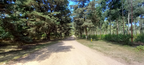 Oportunidad - Terreno A La Venta - Sobre Km26 De Ruta 6 - U$s199000