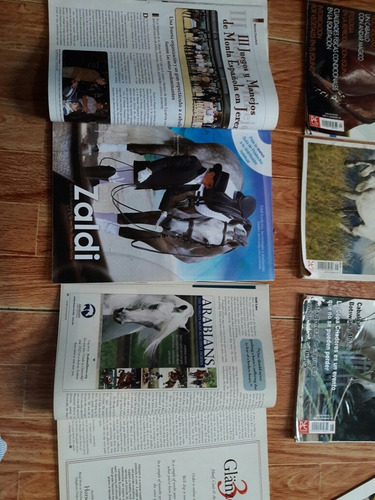 Lote De 10 Revistas De Caballos
