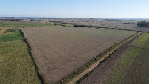 Campo Agricola De 21.5 Has En Corrales (antelo)