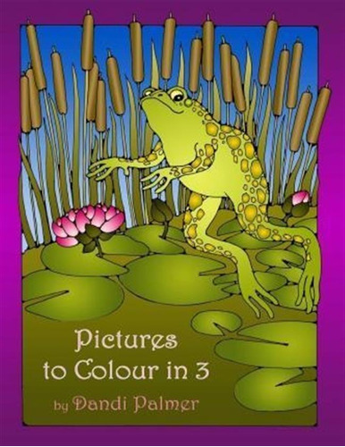 Pictures To Colour In 3 - Dandi Palmer (paperback)