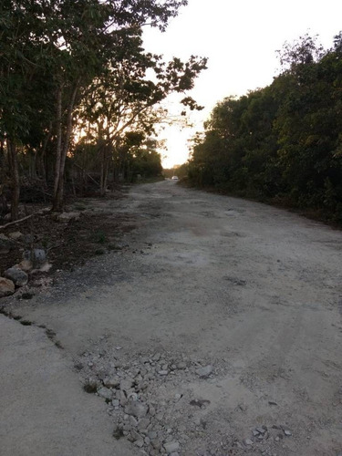 Imagen 2 de 8 de Renta De Terreno Ideal Guardar Material Cercano A Colegios En Cancún Rd06421