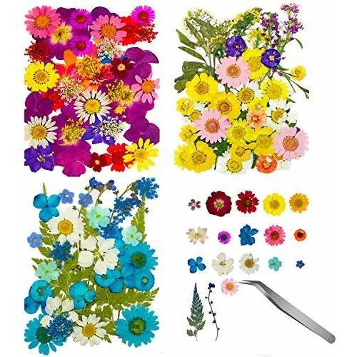 120 Pcs Dried For Resin With Tweezers Multiple Colorful Dry