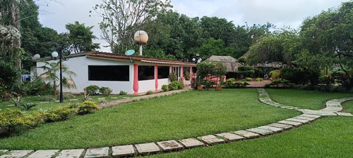 Vendo Terreno En Tinaquillo Cojedes Mg