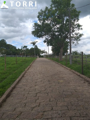 Belo Haras À Venda Em Porto Feliz - Ha00013 - 69329721