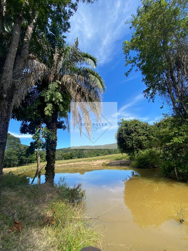 Imagem 1 de 5 de Fazenda Próxima De Uruana!! - 6903