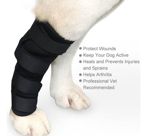 Soporte Para Piernas Para Perros Vendajes Flexibles Para L