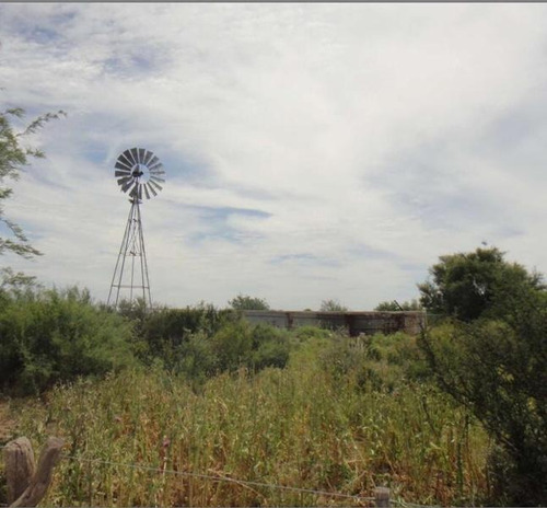 Imagen 8 de 12 de Campo - La Pampa. Caleu Caleu