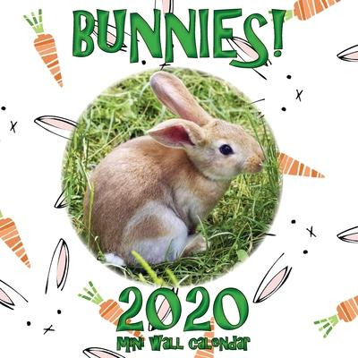 Libro Bunnies! 2020 Mini Wall Calendar - Sea Wall