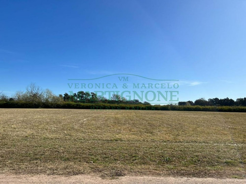 Imagen 9 de 21 de Terreno De 3600m2 En Venta En La Ranita Club De Campo