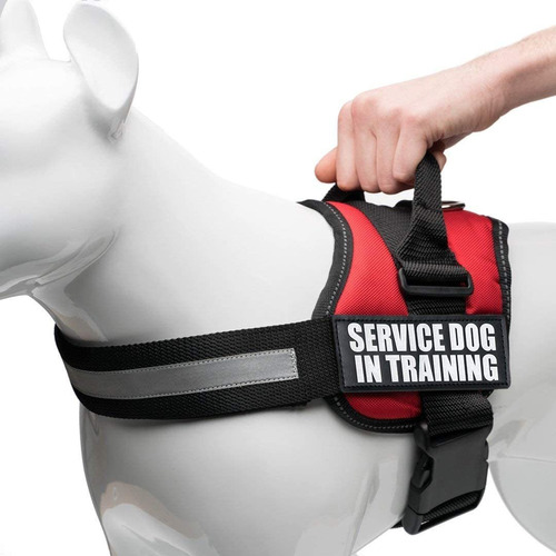  Service Dog In Training Vest With Hook And Loop Straps...