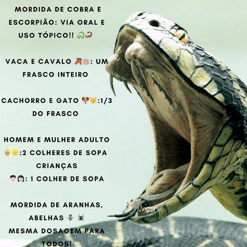 Específico Pessoa 6 Peças 60ml Contra Veneno Cobra/escorpião