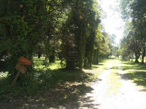 Imagen 9 de 15 de Lote Barrio Colinalegre Venta 740m2