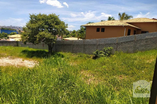 Imagem 2 de 10 de Lote À Venda No Bandeirantes - Código 278049 - 278049