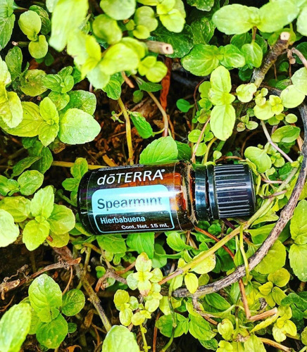 Aceite Esencial De Hierbabuena Doterra 15 Ml
