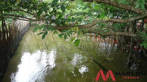 Imagem 5 de 14 de Terreno Em Nizia Floresta