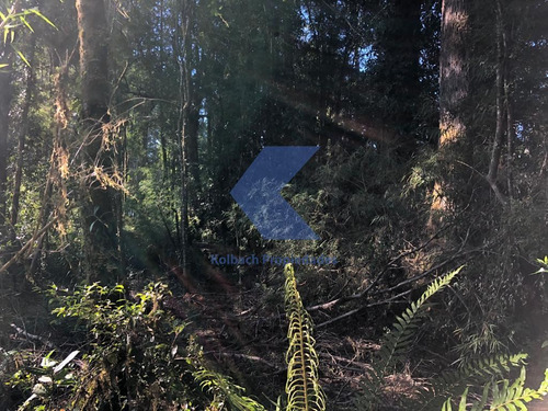 Terreno En Venta En Cisnes