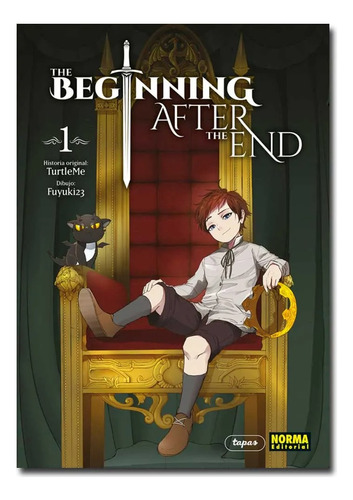 The Beginning After The End 01