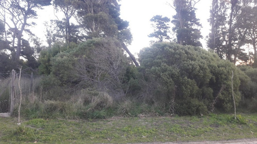 Imagen 2 de 3 de Venta 2 Terrenos Playa Los Lobos En Block Total 945 M2