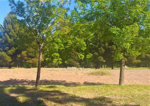Imagen 5 de 8 de Venta Lote Fondo Cancha Golf, Country Arroyito