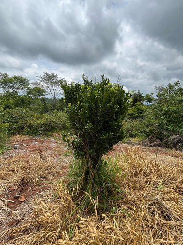 Terreno 750 M2 Com Poço A Venda No Recanto Maravilha