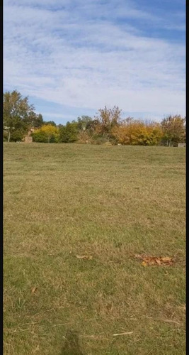 Imagen 4 de 6 de Terreno En Venta En El Cazal