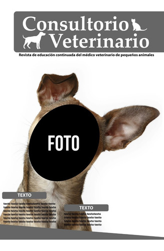Cartel Recibida Tapa Veterinario - Imprimible Personalizada