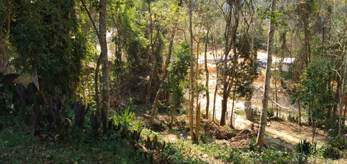 Imagem 4 de 15 de Lote / Terreno Em Nogueira - Petrópolis - 5008