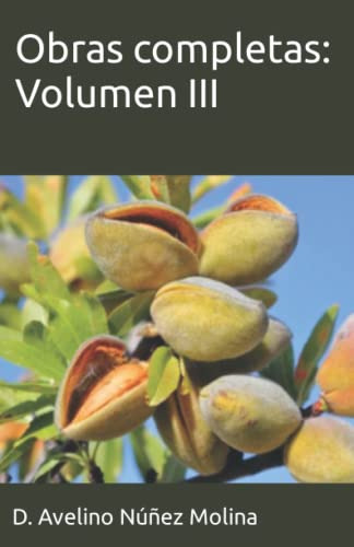 Obras Completas: Volumen Iii -obras Completas De Don Avelino