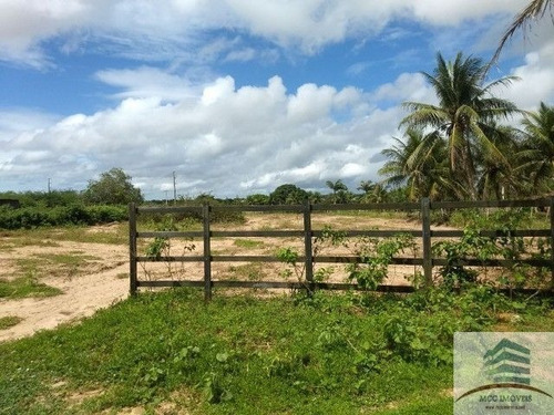 Imagem 4 de 10 de Granja A Venda Em Macaíba