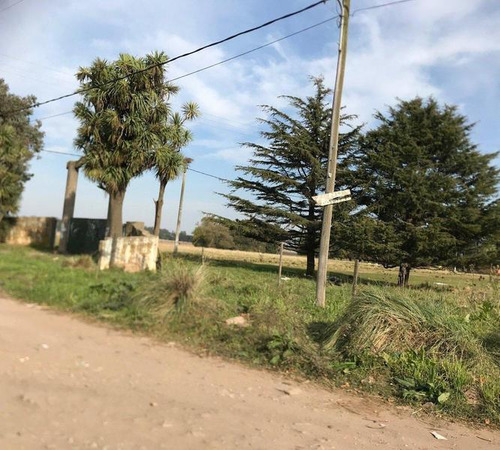 7 Hectareas Y Media En Batan Ideal Emprendimiento De Viviendas
