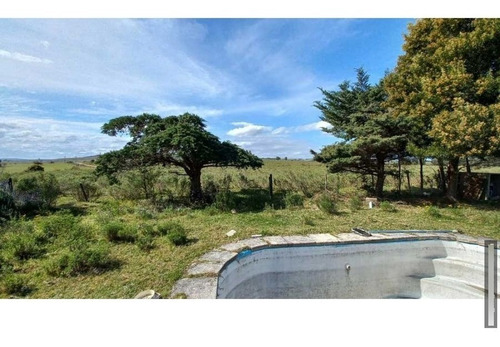 Imagen 16 de 23 de Chacra 8 Ha En San Carlos, Punta Del Este Zona Corte De La Leña Cañada Bellaca