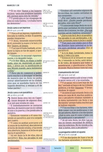 Imagen 9 de 10 de Biblia De Estudio Arcoiris - Reina Valera 1960 - Tapa Dura
