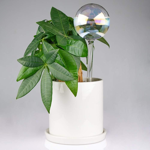 Regadera Para Plantas, Sistema De Riego De 2 Piezas,