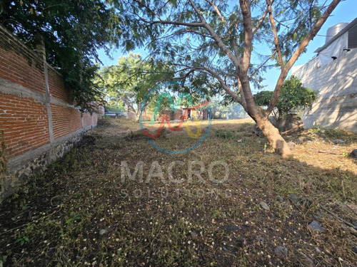 Terreno En Venta En Col. Ampliación Narciso Mendoza En Cuautla Completamente Plano