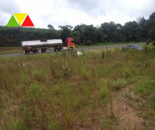 Imagem 7 de 11 de Área Industrial À Venda, Costeira, Araucária. - Ar00013 - 34982649