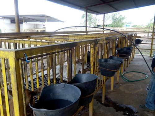 Imagen 14 de 27 de Se Vende Finca En Caicara De Maturin Sec Bajo Gde Ve02-1143cai-mtru