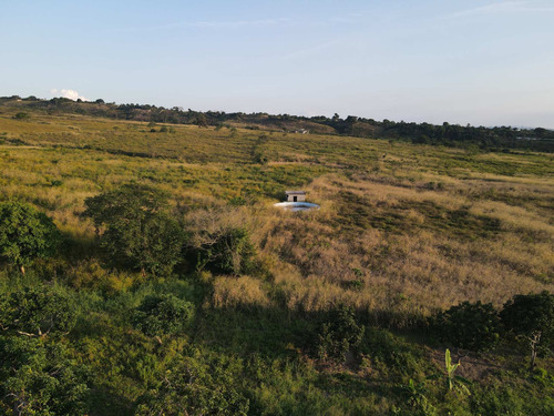 Imagen 15 de 24 de Granja En Venta Yaritagua 12 Hectareas Cod. 23-17577