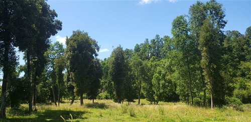 Imagen 11 de 16 de Agrícola En Venta En Lago Ranco