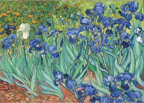 Irises Lirios Van Gogh Mini Rompecabezas 1000 Piezas Tomax